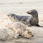 Dom wakacyjny Oreedesetangs80 *