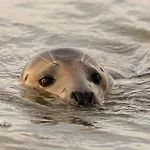 Dom wakacyjny Oreedesetangs80 Bouvaincourt-Sur-Bresle