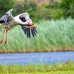 Oreedesetangs80 Dom wakacyjny *