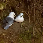 Dom wakacyjny Oreedesetangs80 Bouvaincourt-Sur-Bresle